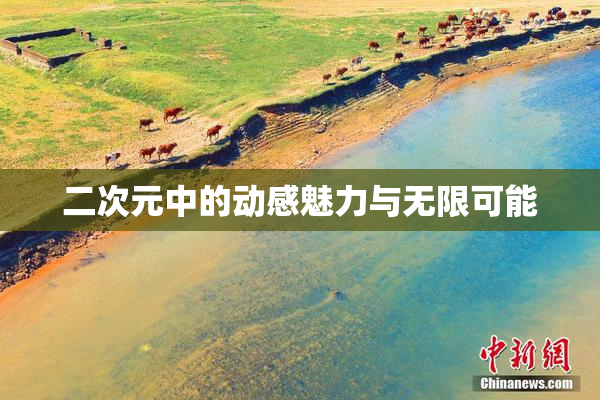 二次元中的动感魅力与无限可能