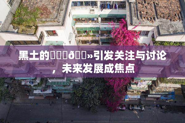 黑土的❌‌‌🐻引发关注与讨论，未来发展成焦点