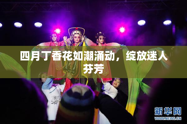 四月丁香花如潮涌动，绽放迷人芬芳