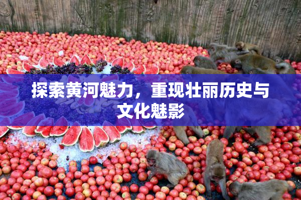 探索黄河魅力，重现壮丽历史与文化魅影