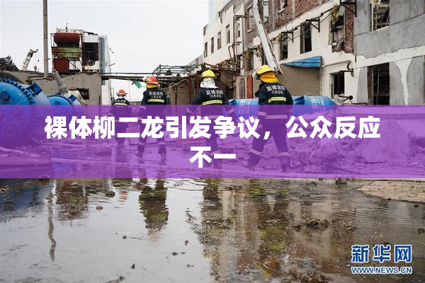 裸体柳二龙引发争议，公众反应不一