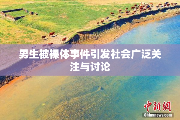 男生被裸体事件引发社会广泛关注与讨论
