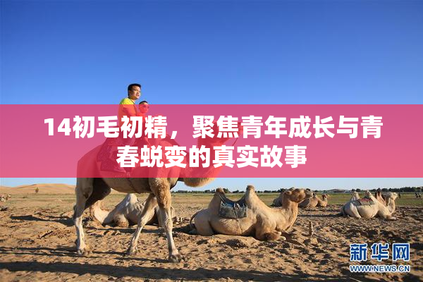 14初毛初精，聚焦青年成长与青春蜕变的真实故事