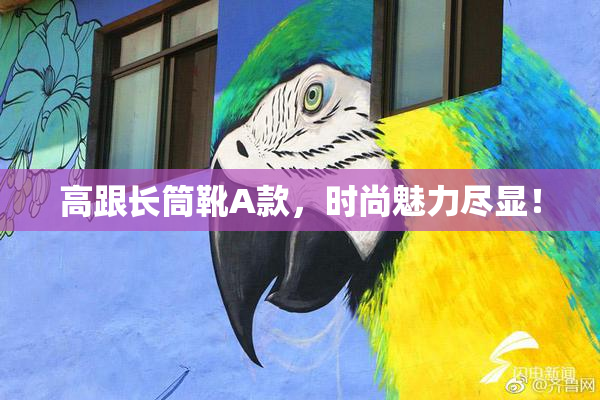 高跟长筒靴A款，时尚魅力尽显！