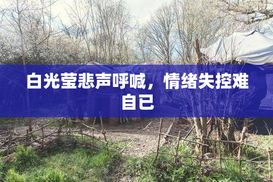 白光莹悲声呼喊，情绪失控难自已