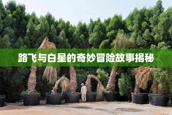 路飞与白星的奇妙冒险故事揭秘