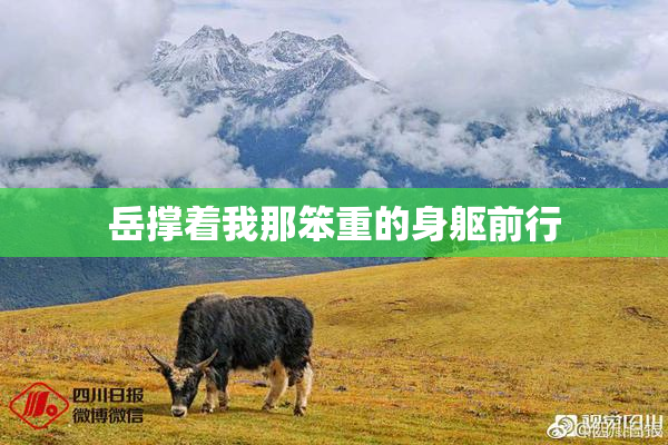 岳撑着我那笨重的身躯前行
