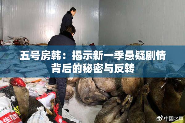 五号房韩：揭示新一季悬疑剧情背后的秘密与反转