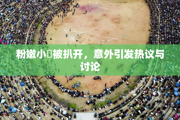 粉嫩小泬被扒开，意外引发热议与讨论