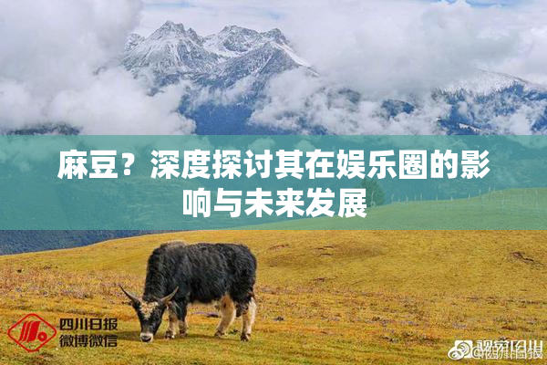麻豆？深度探讨其在娱乐圈的影响与未来发展