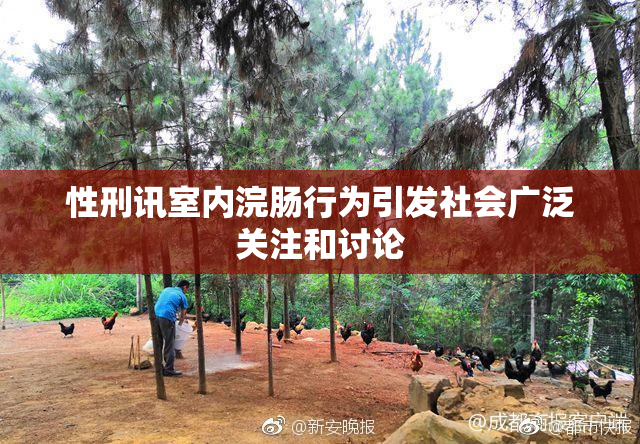 性刑讯室内浣肠行为引发社会广泛关注和讨论