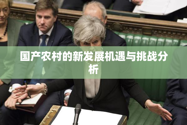 国产农村的新发展机遇与挑战分析