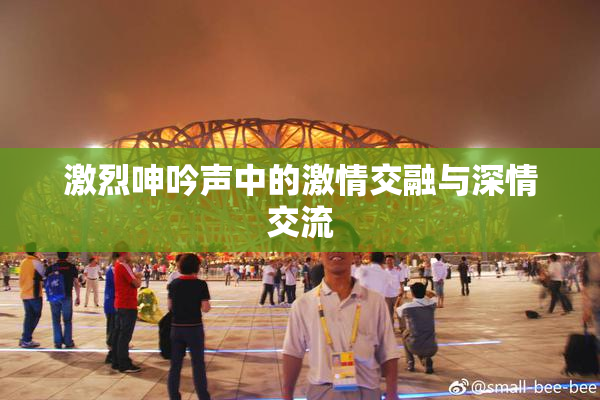 激烈呻吟声中的激情交融与深情交流