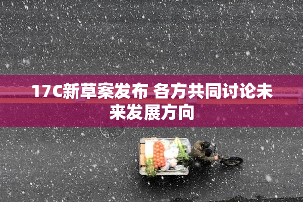 17C新草案发布 各方共同讨论未来发展方向