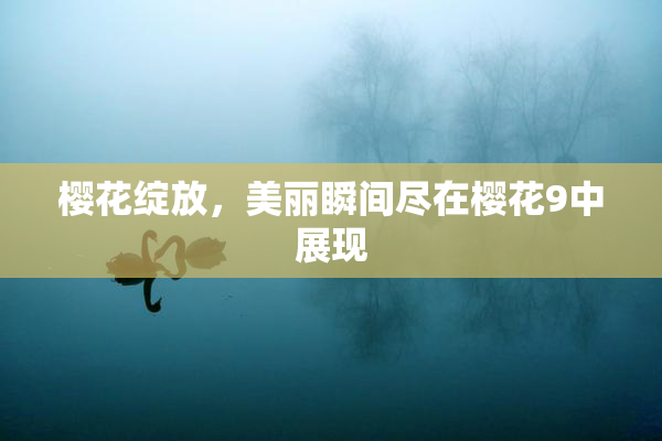 樱花绽放，美丽瞬间尽在樱花9中展现