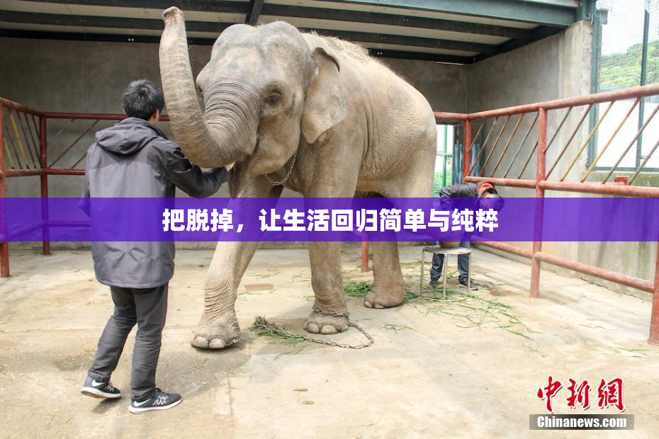 把脱掉，让生活回归简单与纯粹