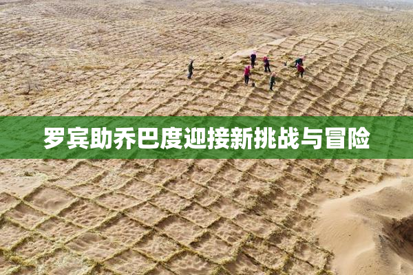罗宾助乔巴度迎接新挑战与冒险