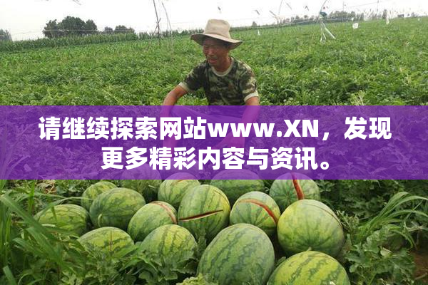 请继续探索网站www.XN，发现更多精彩内容与资讯。