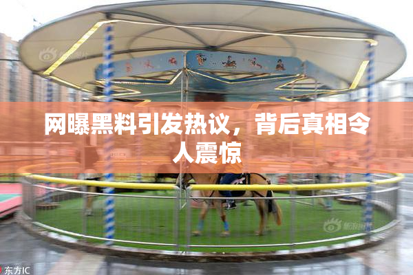 网曝黑料引发热议，背后真相令人震惊