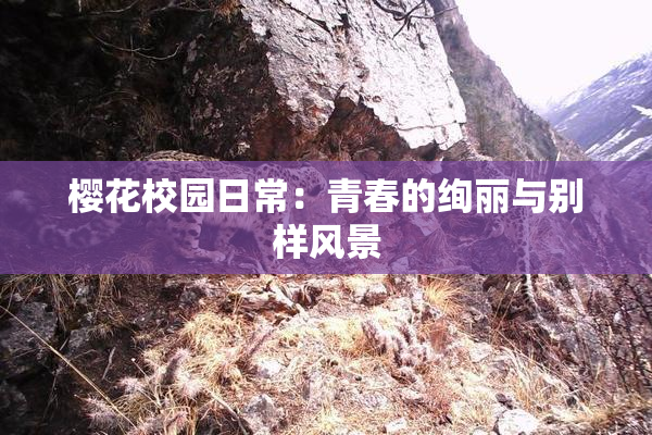 樱花校园日常：青春的绚丽与别样风景