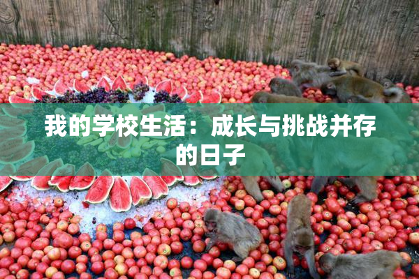 我的学校生活：成长与挑战并存的日子