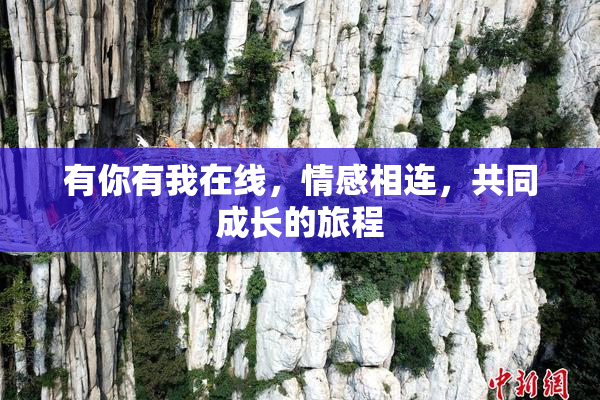 有你有我在线，情感相连，共同成长的旅程