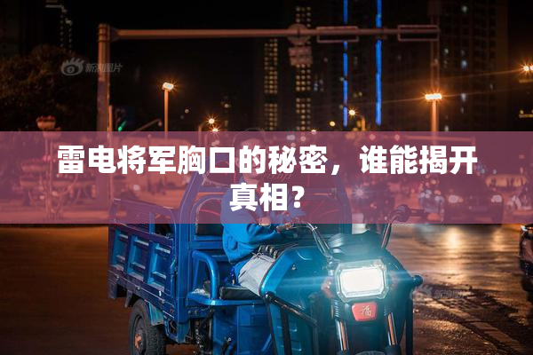 雷电将军胸口的秘密，谁能揭开真相？
