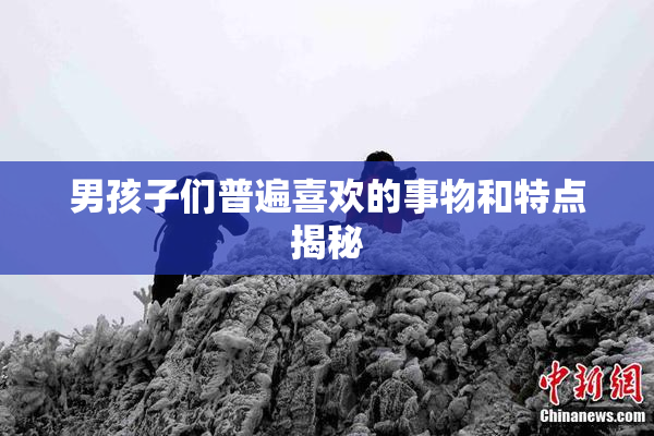 男孩子们普遍喜欢的事物和特点揭秘