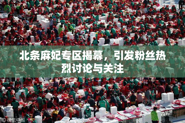 北条麻妃专区揭幕，引发粉丝热烈讨论与关注