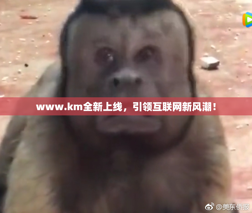 www.km全新上线，引领互联网新风潮！