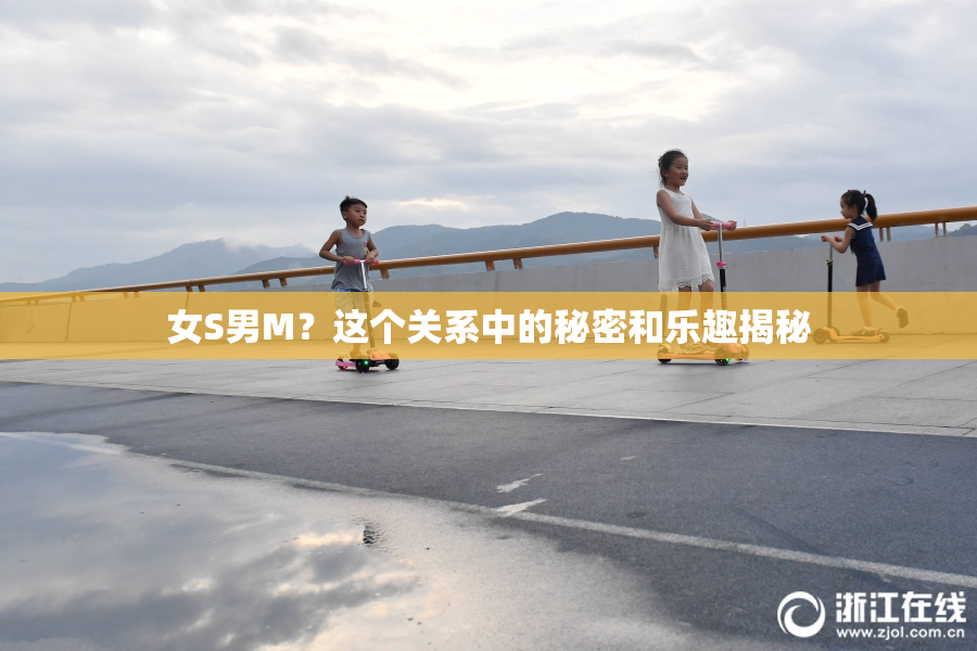 女S男M？这个关系中的秘密和乐趣揭秘