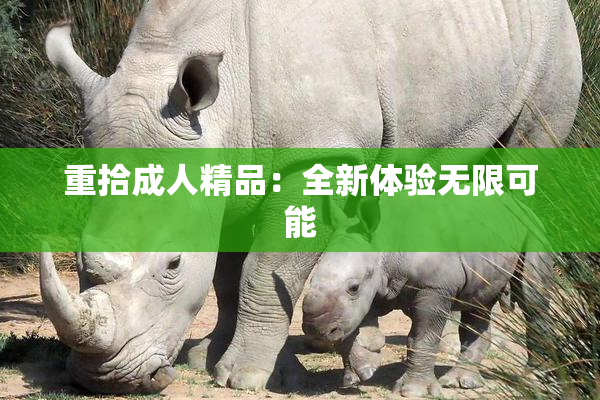 重拾成人精品：全新体验无限可能