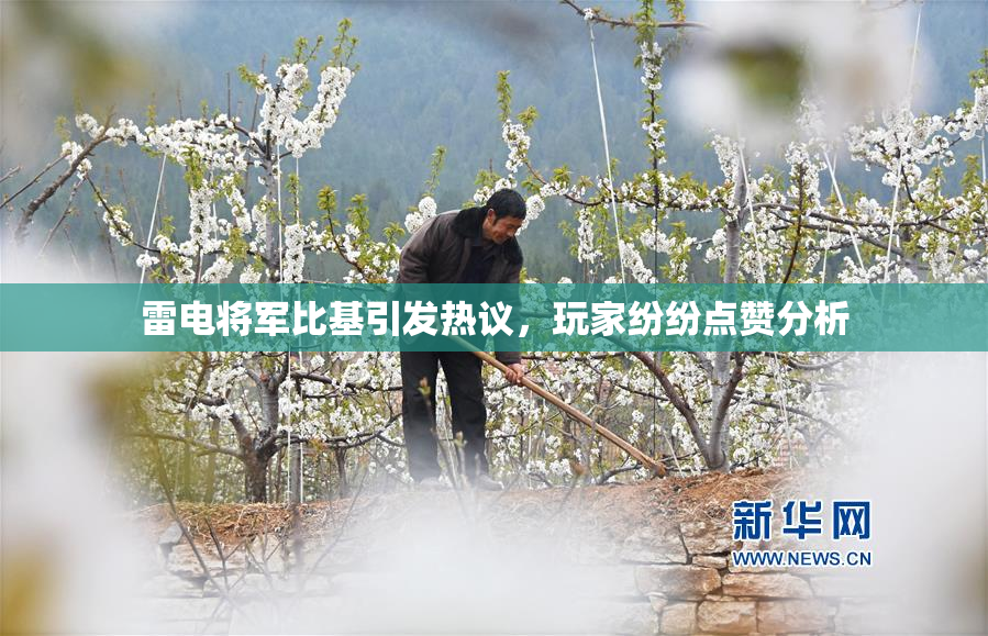雷电将军比基引发热议，玩家纷纷点赞分析