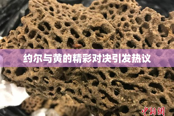 约尔与黄的精彩对决引发热议