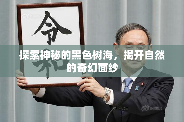 探索神秘的黑色树海，揭开自然的奇幻面纱