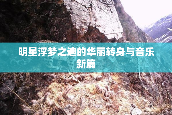 明星浮梦之迪的华丽转身与音乐新篇