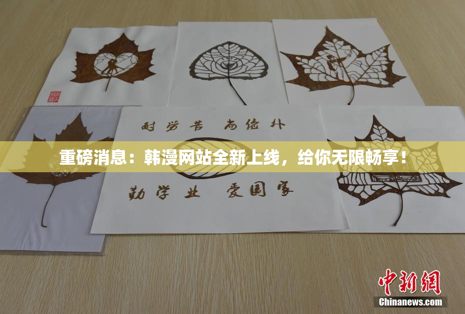 重磅消息：韩漫网站全新上线，给你无限畅享！