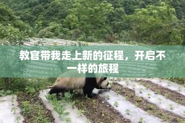 教官带我走上新的征程，开启不一样的旅程