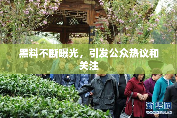 黑料不断曝光，引发公众热议和关注