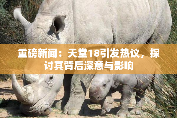 重磅新闻：天堂18引发热议，探讨其背后深意与影响