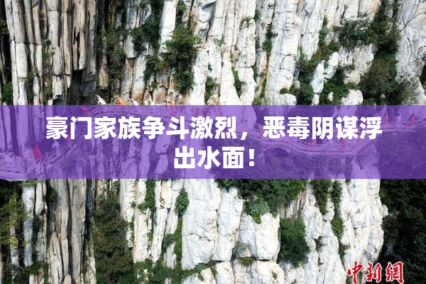 豪门家族争斗激烈，恶毒阴谋浮出水面！