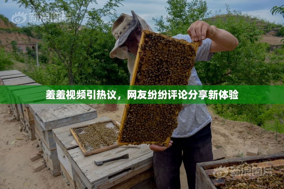 羞羞视频引热议，网友纷纷评论分享新体验