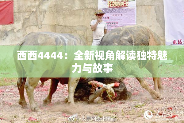 西西4444：全新视角解读独特魅力与故事