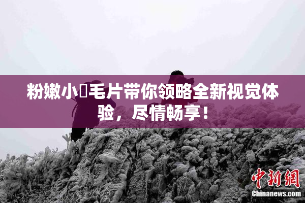 粉嫩小泬毛片带你领略全新视觉体验，尽情畅享！