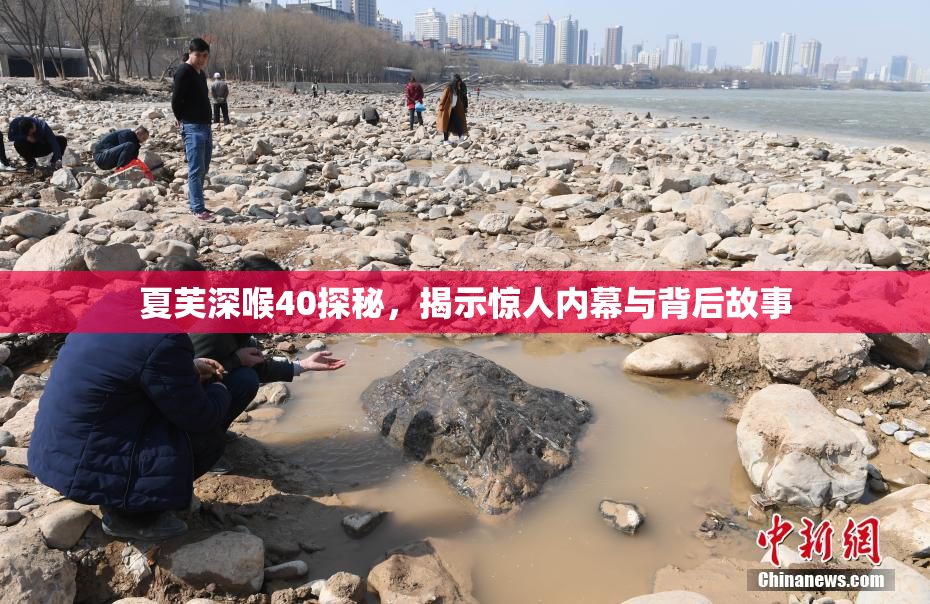 夏芙深喉40探秘，揭示惊人内幕与背后故事