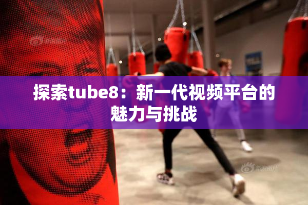 探索tube8：新一代视频平台的魅力与挑战