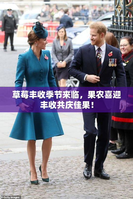 草莓丰收季节来临，果农喜迎丰收共庆佳果！