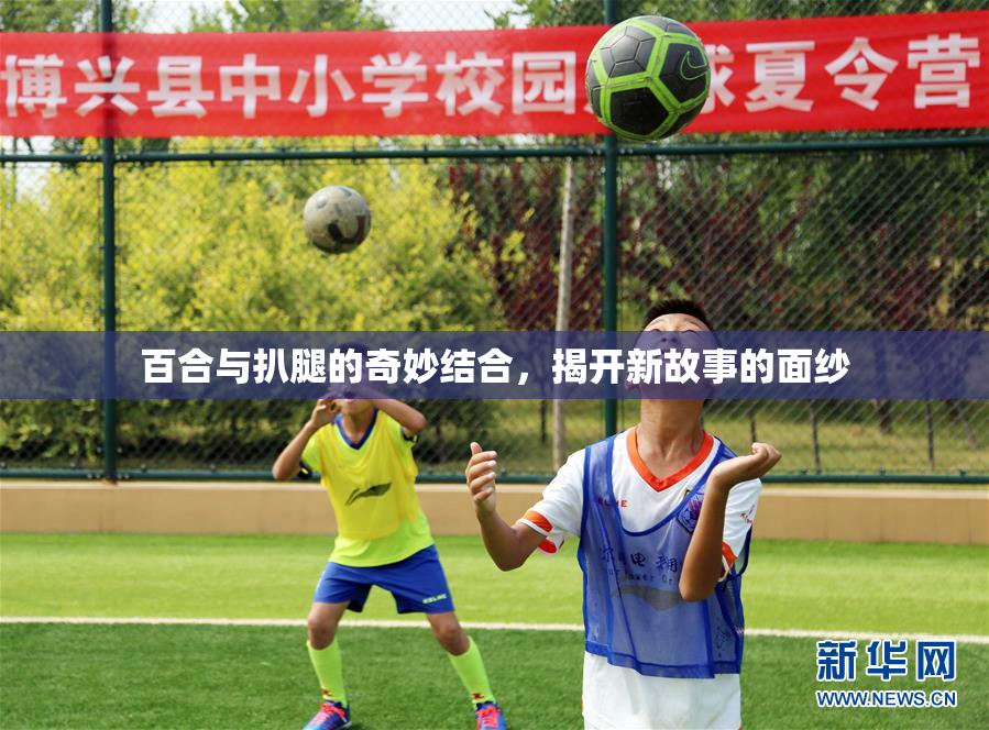 百合与扒腿的奇妙结合，揭开新故事的面纱