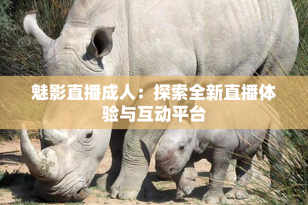 魅影直播成人：探索全新直播体验与互动平台