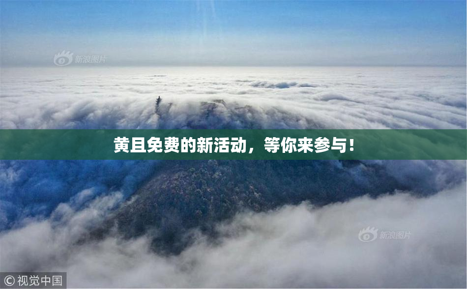 黄且免费的新活动，等你来参与！